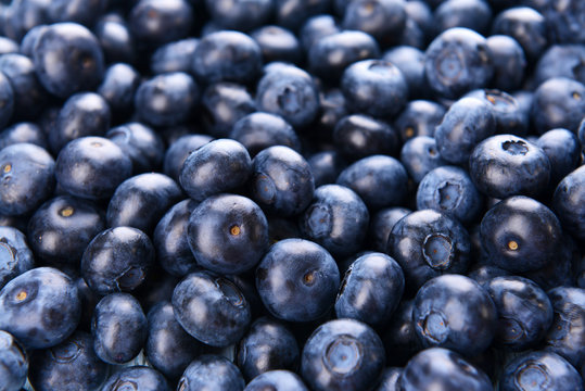 Delicious blueberries close-up