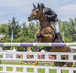 Jinete saltando obst&aacute;culo