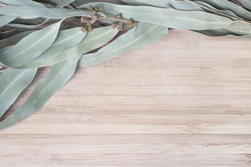 Eucalypt twigs with capsules laying on a wooden table