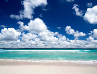 Fototapeta premium tropical sea