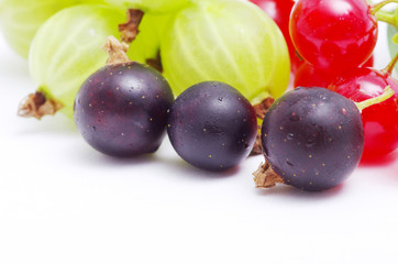  berries