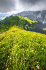 Fototapeta premium Paysage fleuri des Aravis