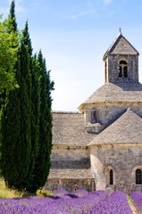  Monasteries of the Cistercian