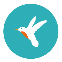 colibri icon