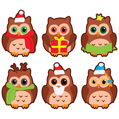 owls in winter hats colored vector