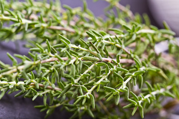 Bunch of fresh thyme 