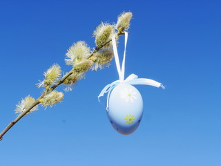 easter egg pussy willow