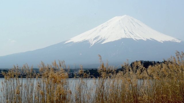 Mt  Fuji rises above Lake Kawaguchi