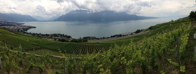 Panorama sur le Lavaux © malifotolia