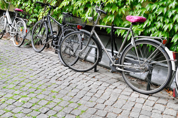Fototapeta na wymiar Bicicletas sobre adoquines y con jardín