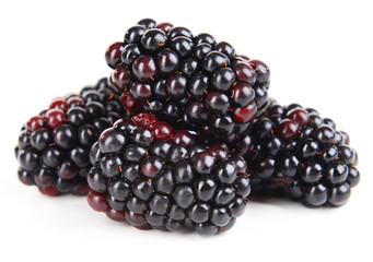 Delicious blackberries isolate on white