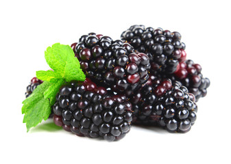 Delicious blackberries isolate on white