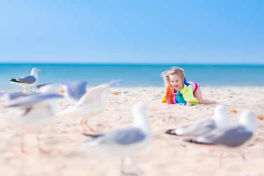 Little girl playing with seagulls