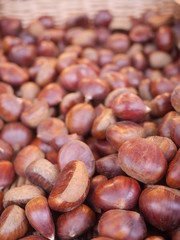 chestnuts