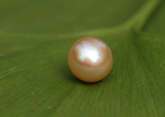perle