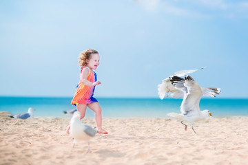 Fototapeta na wymiar Little girl playing with seagulls