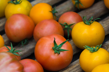 Collection of yellow and red tomatoes.