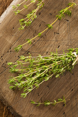 Raw Organic Green Thyme
