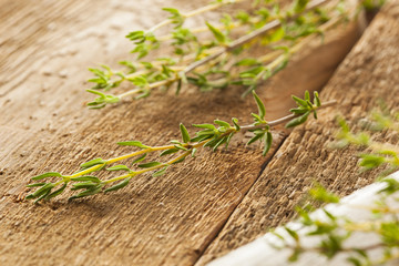 Raw Organic Green Thyme