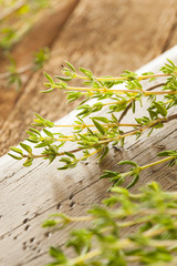 Raw Organic Green Thyme