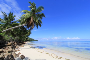 Plage de rêve