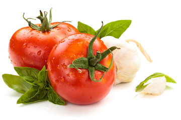 Tomatoes on white background.