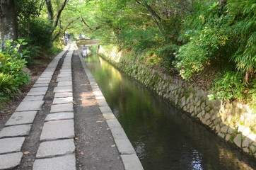 Fototapeta premium 京都 哲学の道