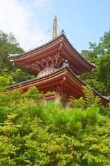 今熊野観音寺の医聖堂