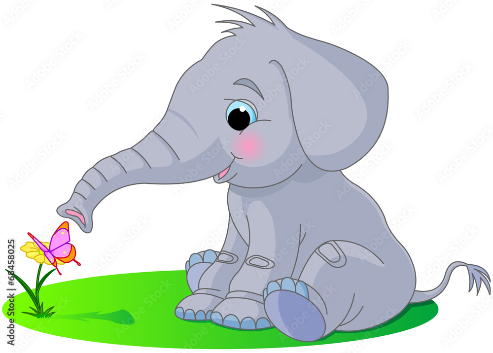 Canvas Prints cute baby elephant