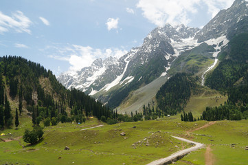 Fototapeta na wymiar Beautiful landscpae of hill and mountain in Sonamarg, Kashmir,I