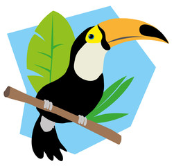 Tropical toucan bird fauna of Brazil