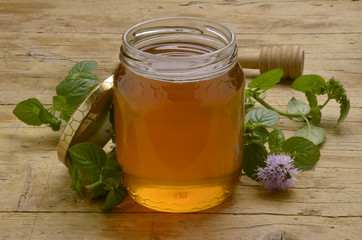 Mentha Menta Mint Minzen Menthe Mięta Мята Nane נענע honey © Comugnero Silvana