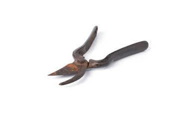 Old scissors garden tool on white background