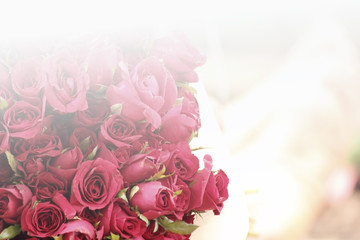 soft focus of Vintage flower