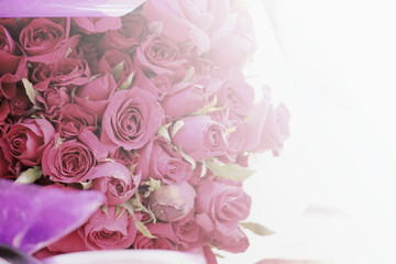 soft focus of Vintage flower