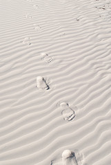 footprint