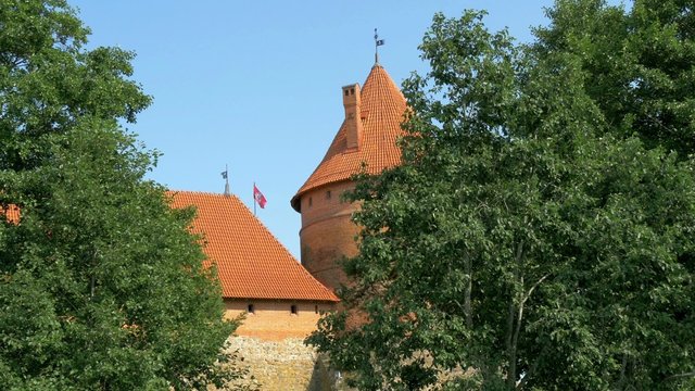 Trees covering the red brick castle in Trakai GH4 4K UHD