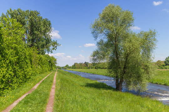 Along Dreisam River