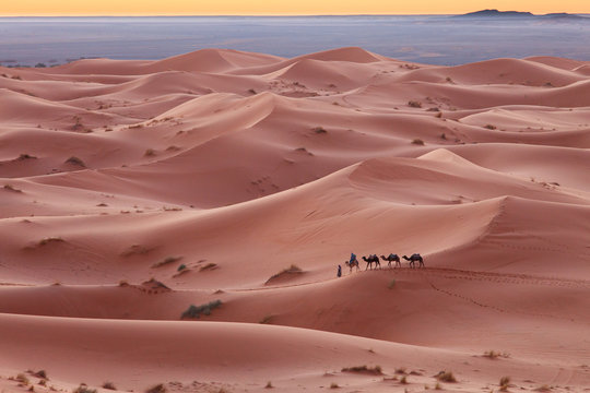 Caravan in Sahara desert Morocco