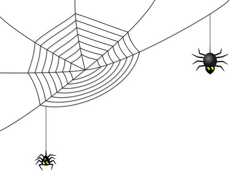 Spinnen mit Netz