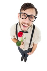 Geeky lovesick hipster holding rose