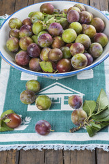 Ciruelas fruta de verano producto de agricultura ecológica