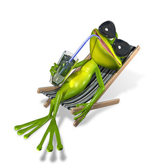 frog in a deckchair