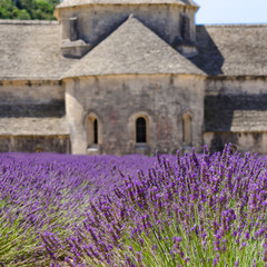 Monasteries of the Cistercian