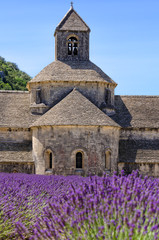 Monasteries of the Cistercian