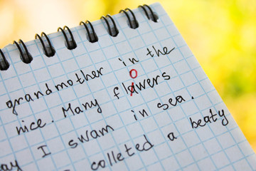 The bug is fixed in red pen in a notebook