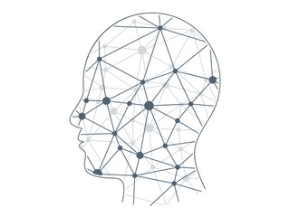 Polygonal network head presentation vector