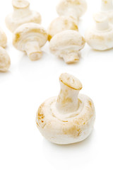 Fresh edible Portabello Mushroom Champignon over white backgroun