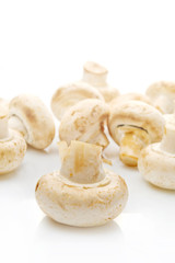 Fresh edible Portabello Mushroom Champignon over white backgroun