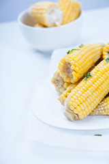 Steamed corn on the cob